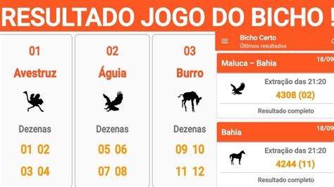 jogo do bicho aracaju sergipe|Resultado Jogo do Bicho de Sergipe (SE) de hoje.